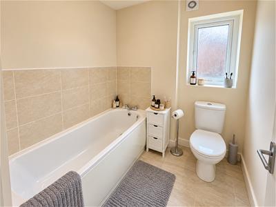 Picture 21